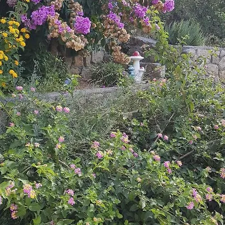 In With Two-bedrooms 1 *