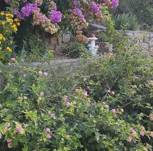 In With Two-bedrooms 1 *